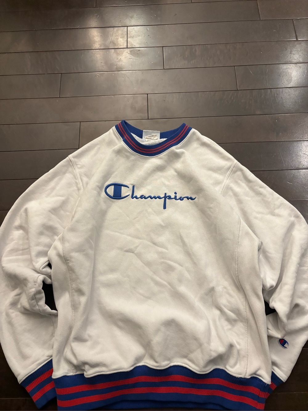 Y2K champion hoodie